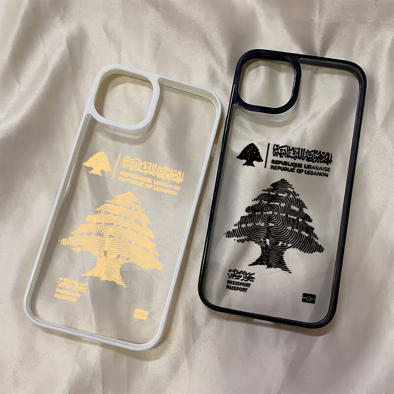 Custodia Antiurto per iPhone 1 - X Phone Accessories recensione e prezzo